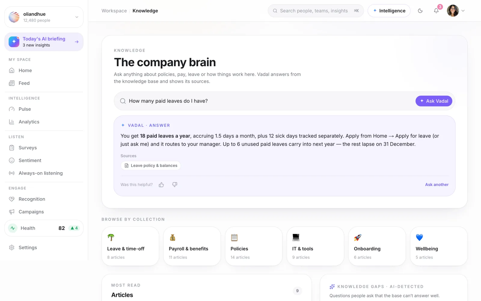 The Grounded answers screen in the Vadal.ai product